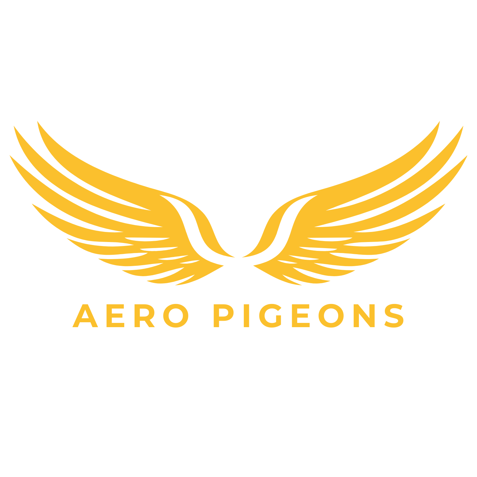 Aero Pigeons Logo